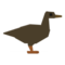Poop on a Brown Duck